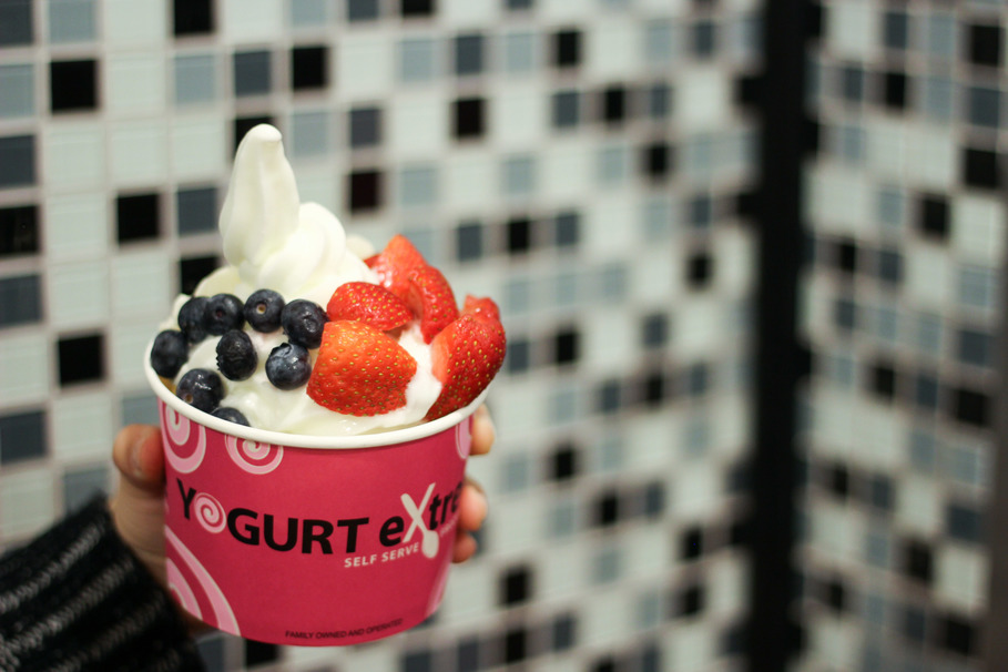The 5 Best FroYo Combos at Yogurt Extreme