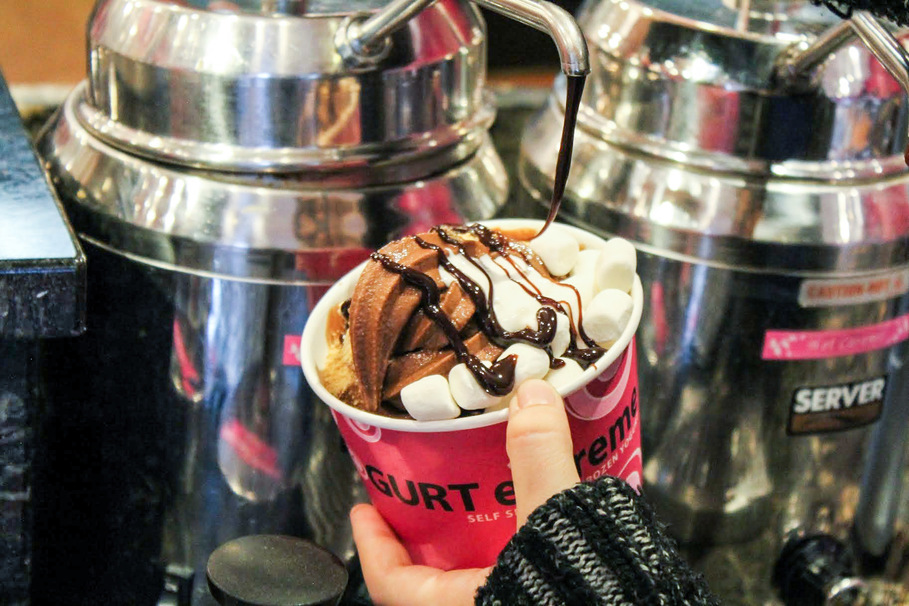 The 5 Best FroYo Combos at Yogurt Extreme