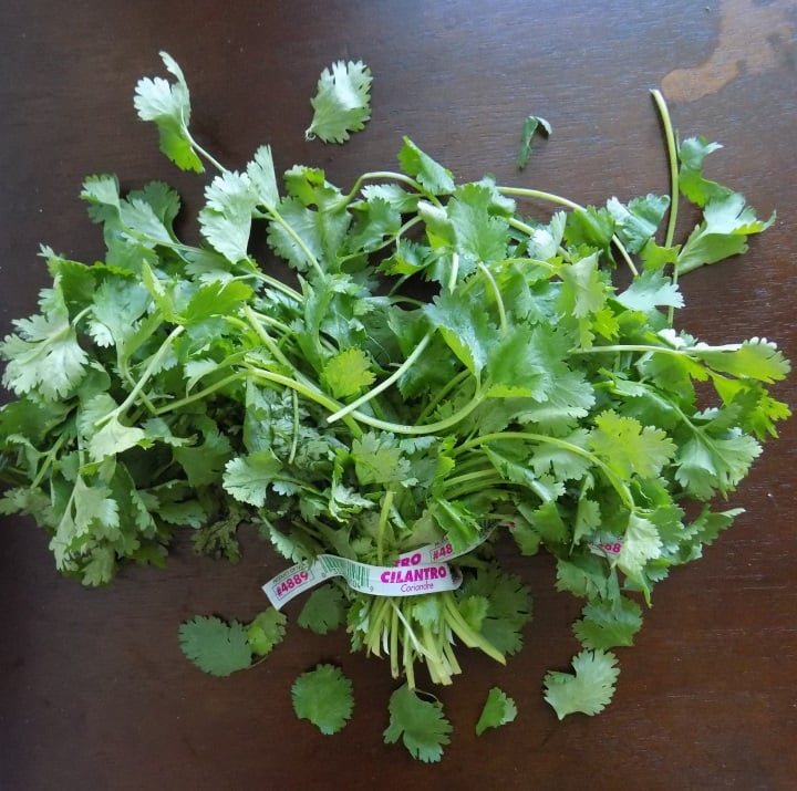 4 Parsley Substitutes You Can Use in a Pinch