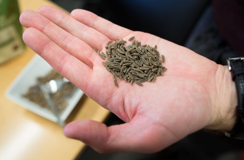 The Shelf Life of Spices That Are Most Often Used in Cooking