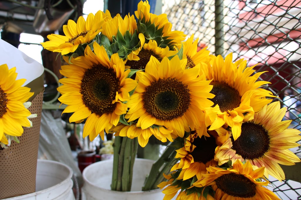 7 Common Olive Oil Substitutes and When to Use Each