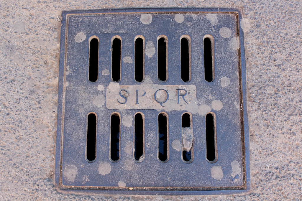 Why Is Locatelli Pecorino Romano Cheese So Expensive?