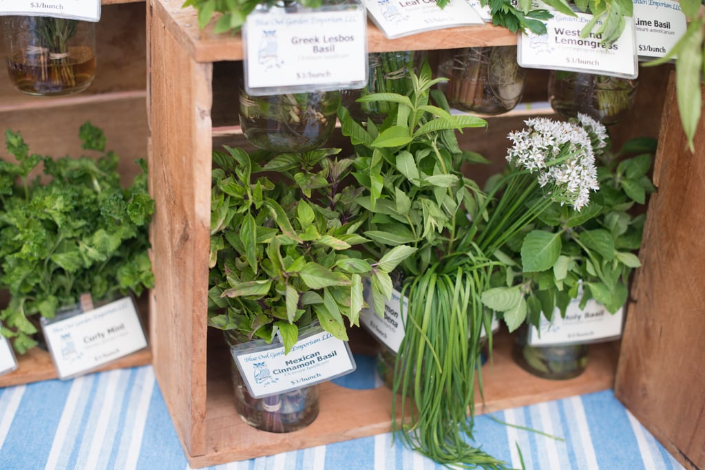 How to Pronounce "Herb" Without Sounding Like an Idiot (2023)