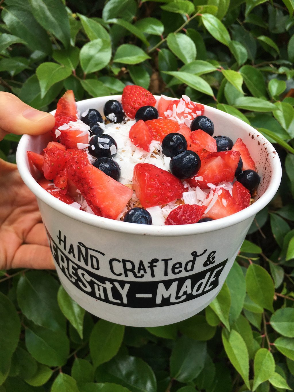 Blenders acai bowls: Nutritious and delicious – The Cougar Press