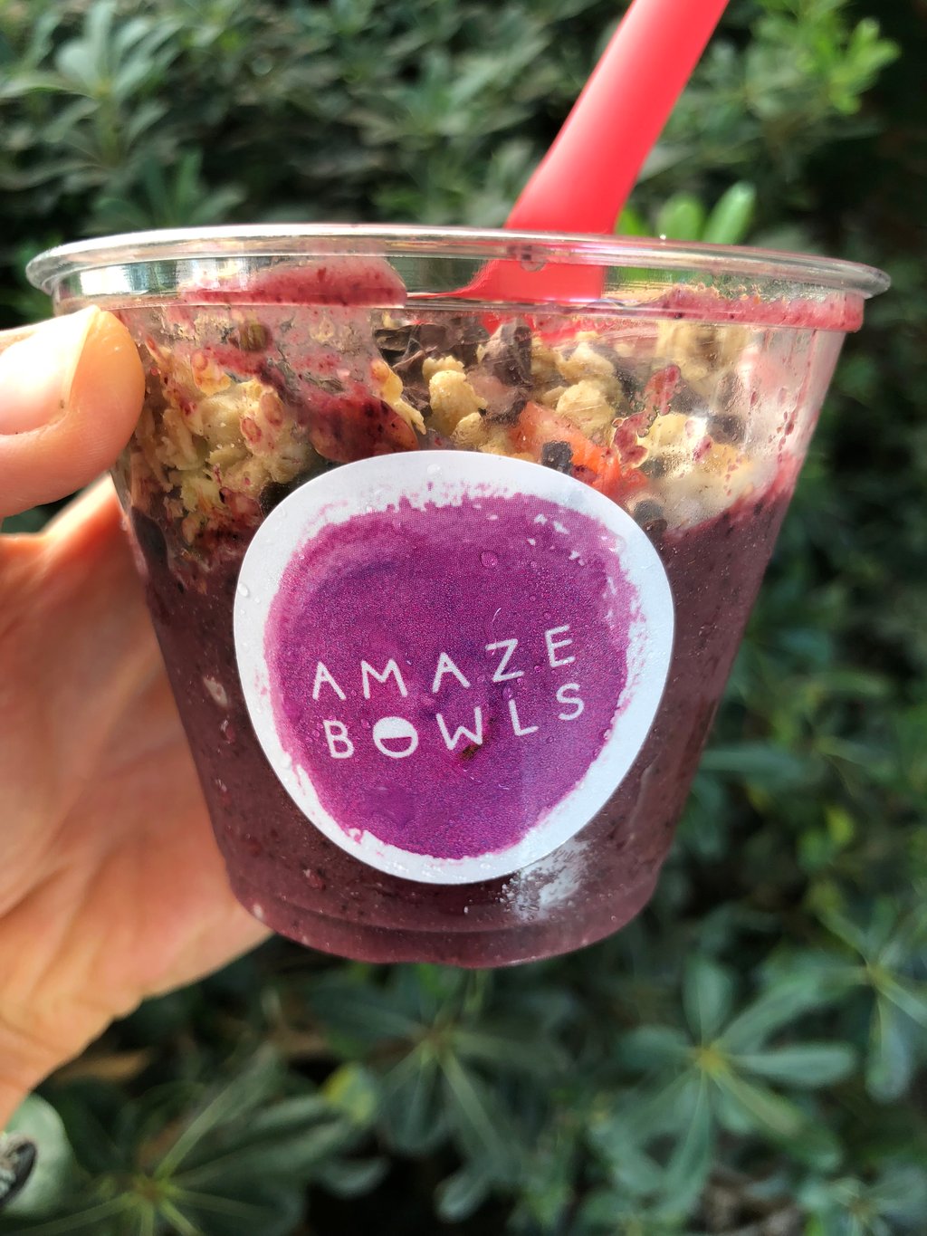 Blenders acai bowls: Nutritious and delicious – The Cougar Press