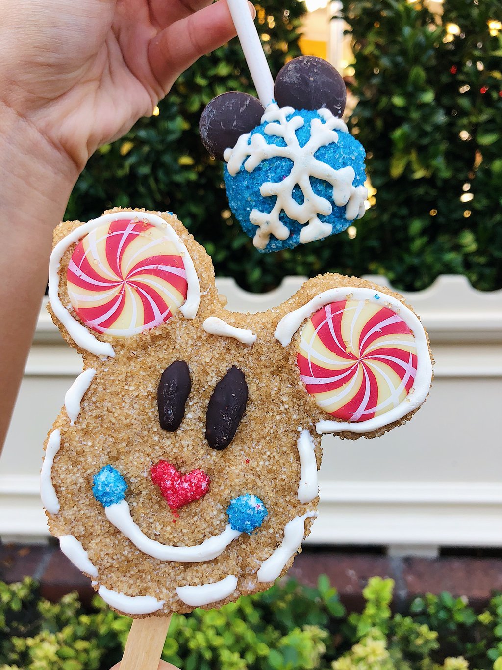 12 Disneyland Holiday Treats and Desserts You Must Try