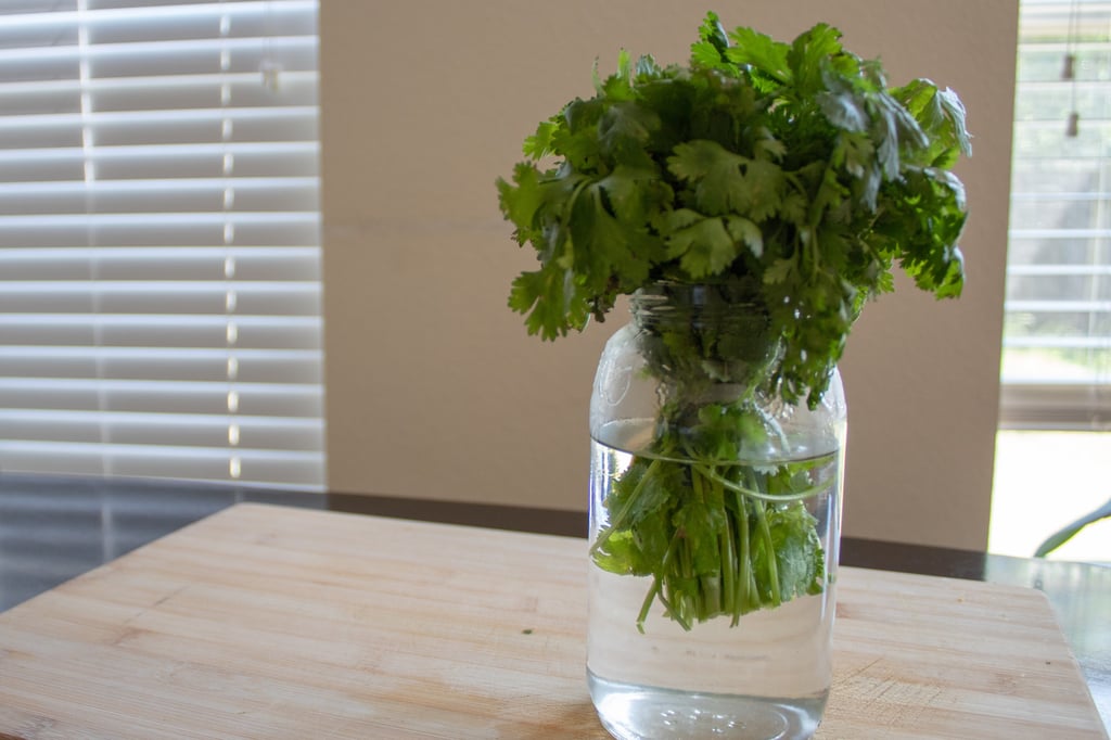 How to Store Fresh Cilantro So it Lasts Longer in the Fridge