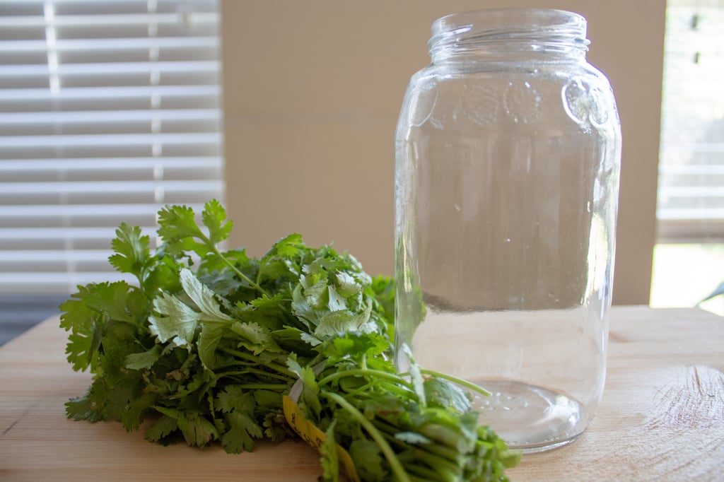 How to Store Fresh Cilantro So it Lasts Longer in the Fridge