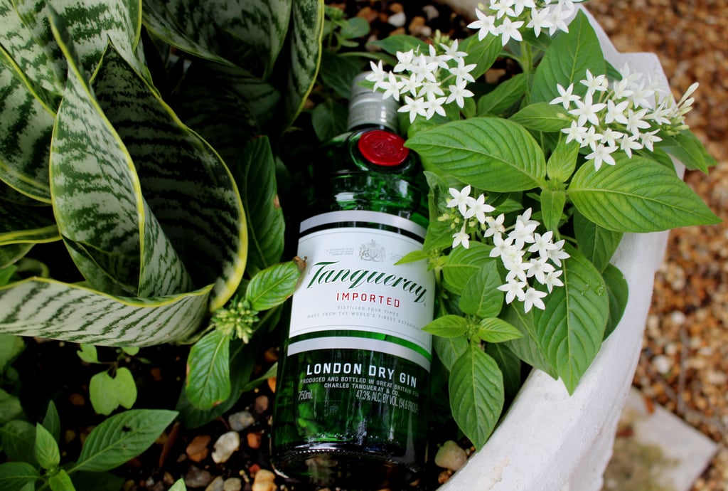 The Unofficial Ranking Of Popular Gin Brands Sold At ABC Liquor