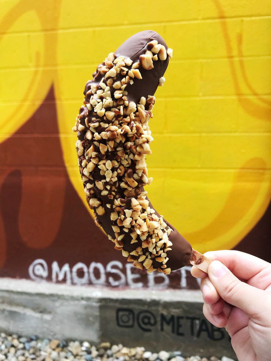 The Chocolate Moose offers more than ice cream