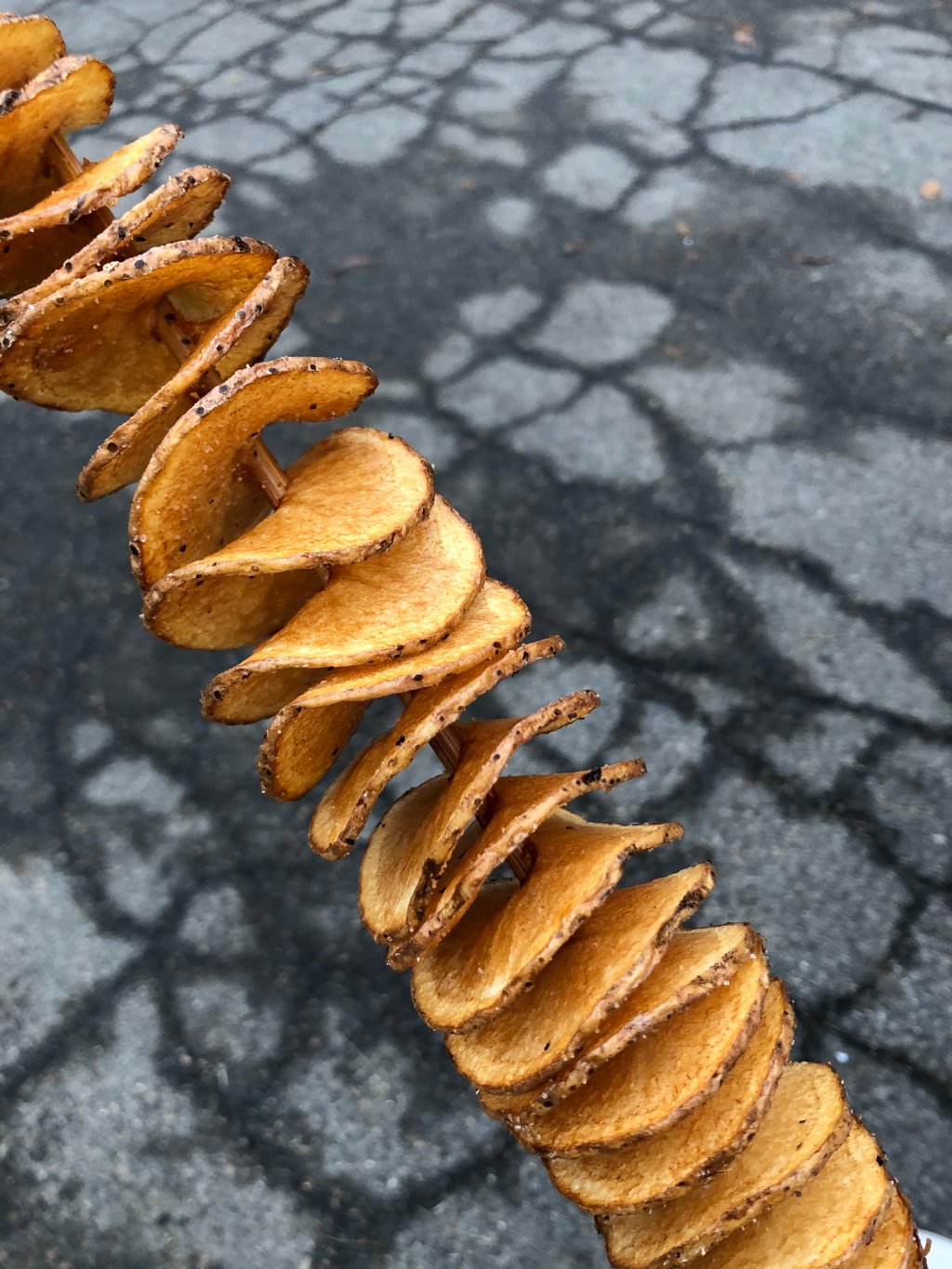Must Try Foods at the Topsfield Fair