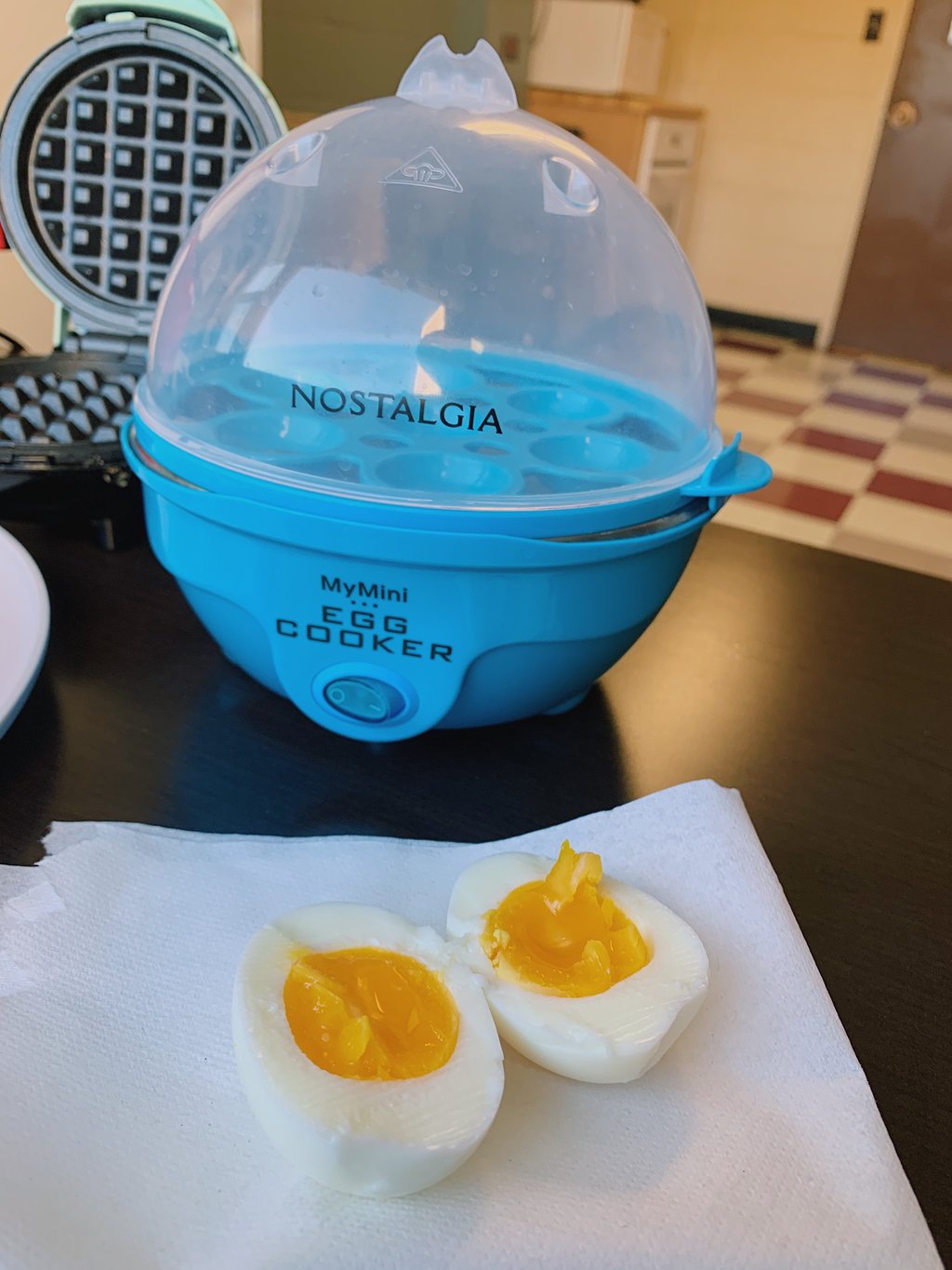 Nostalgia Mini Egg Cooker Teal