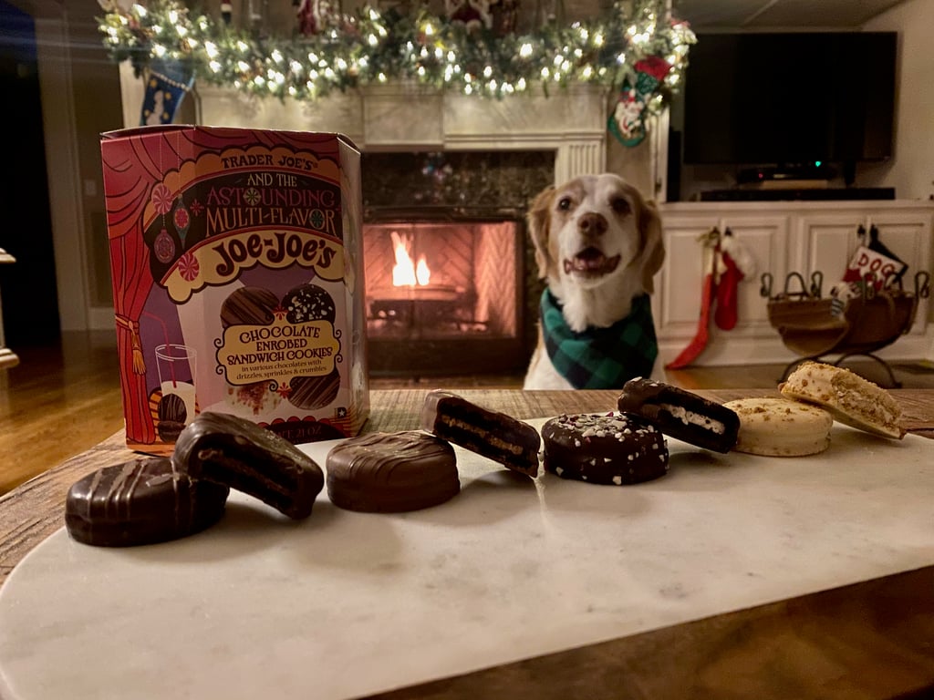 Trader joe's clearance gingerbread dog treats