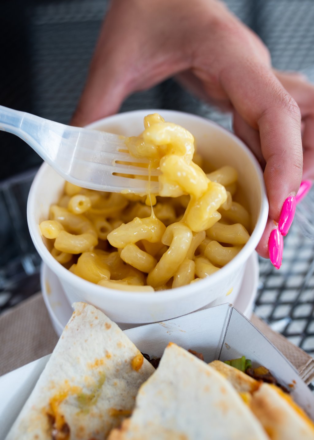 Best Vegan Options in Gainesville, Florida