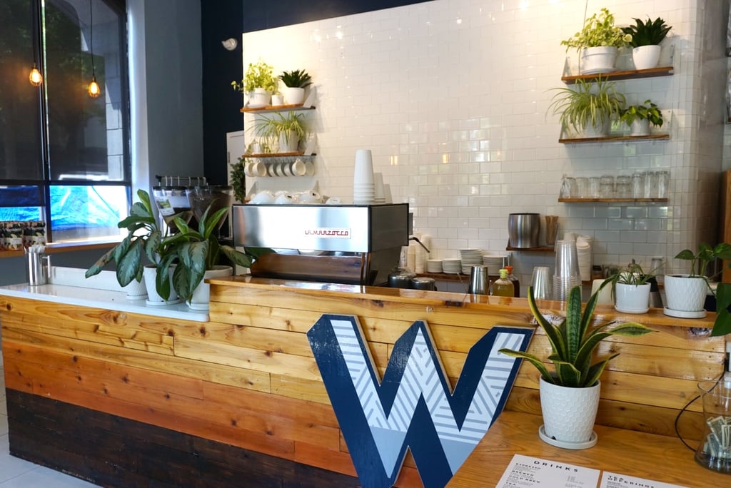 Gainesville's Coffee Shop Phenomenon