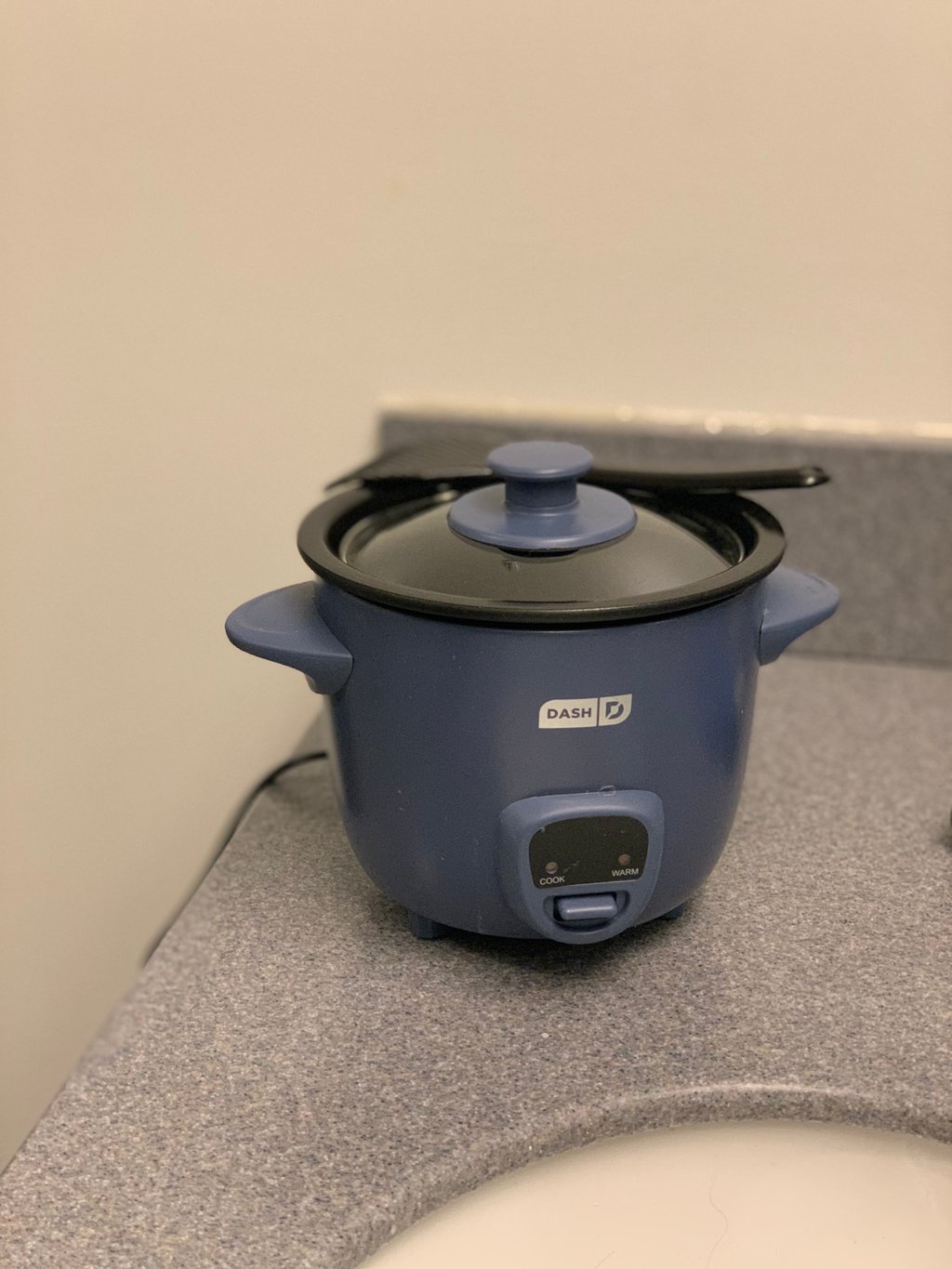 An Ode to My Mini Rice Cooker