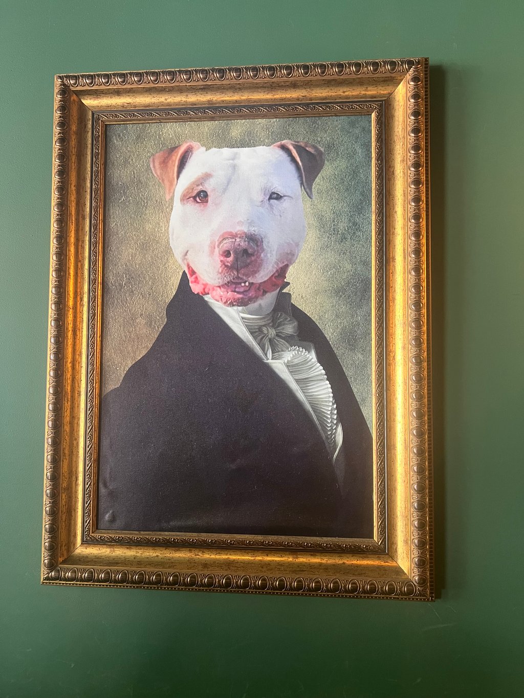 Chicago Cafe Ludlow Charlingtons Serves Pastries In Dog Bowls