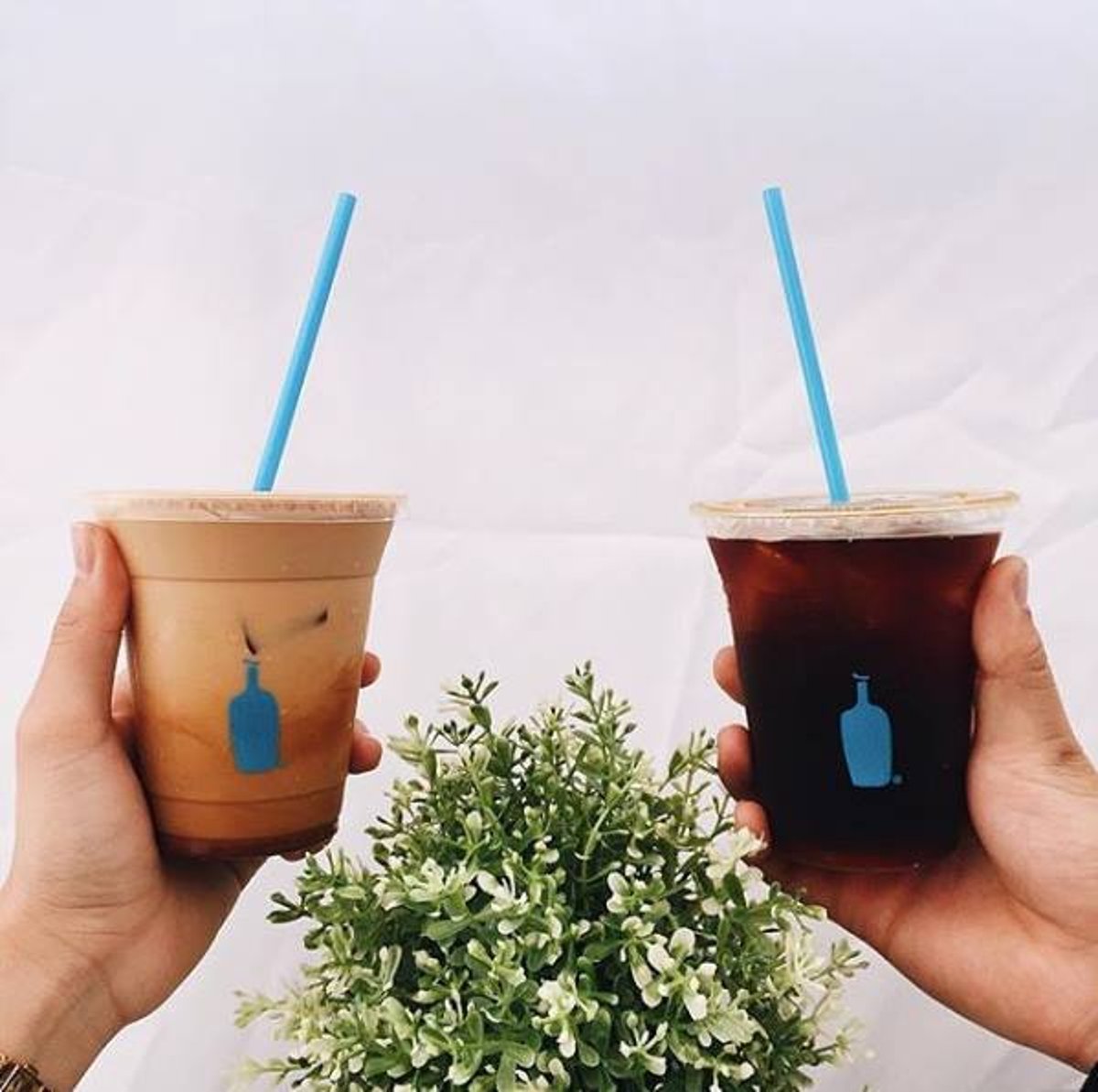 Blue Bottle Coffee: What It Is and Why You Need It ASAP