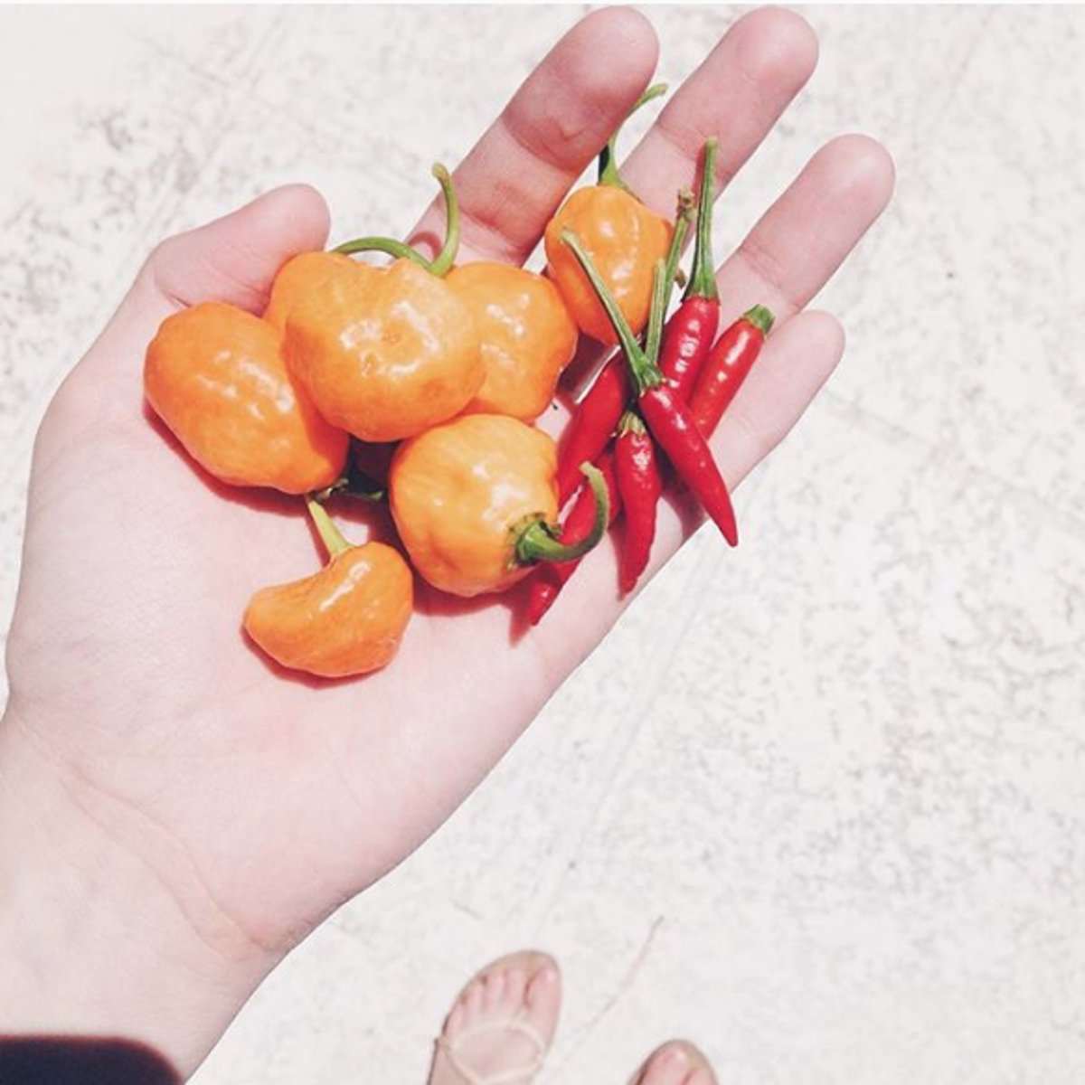 12 Basic Cooking Questions You’ve Always Been Too Scared to Ask