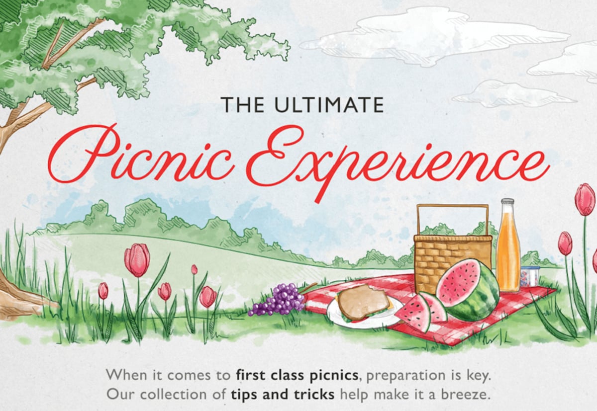 This Infographic Makes Planning a Summer Picnic Easy