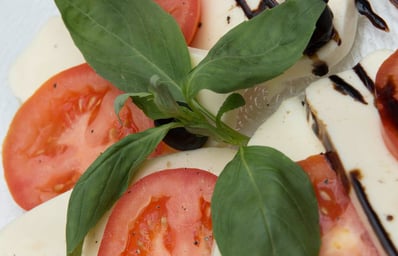 How To Make Mozzarella and Herbed Oil From Scratch 2 pexels photo 128839