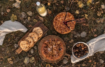 pexels photo 5662377