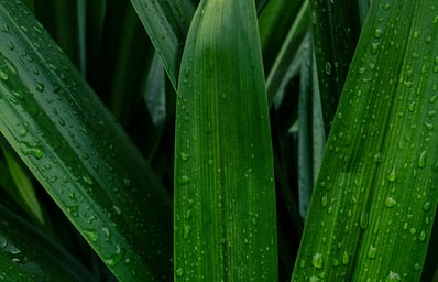 pexels photo 5857658