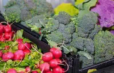 pexels photo 7456527