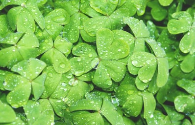 photo 1423994485548 7c3cf5c99cfb?ixlib=rb 0.3