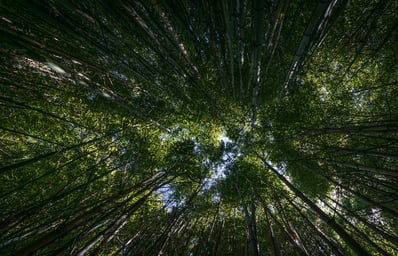 photo 1435158988479 e3984c2fd00c?ixlib=rb 0.3