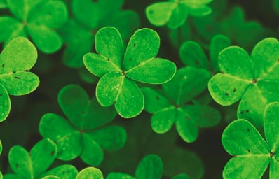 photo 1444931375434 b57537c718c0?ixlib=rb 0.3