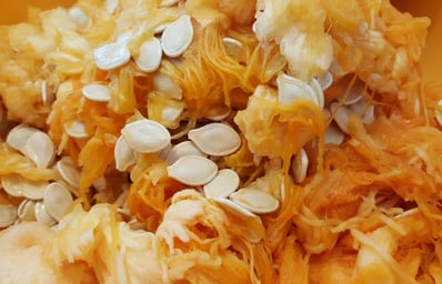 photo 1447903196606 76e102ef24f9?ixlib=rb 0.3