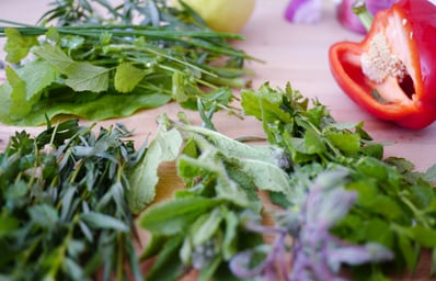 photo 1448935852404 7a38bb46f5b3?ixlib=rb 0.3