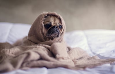 photo 1453227588063 bb302b62f50b?ixlib=rb 0.3