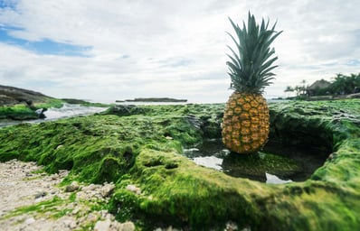 photo 1456433023484 18b4bb9970e2?ixlib=rb 1.2