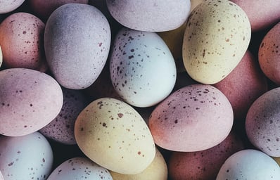 photo 1457301473530 d6d4d4d7b824?ixlib=rb 1.2