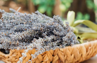 photo 1465162299388 a20e0aaed95d?ixlib=rb 0.3