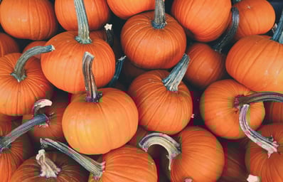 photo 1474591424615 7fe467c7fac9?ixlib=rb 0.3