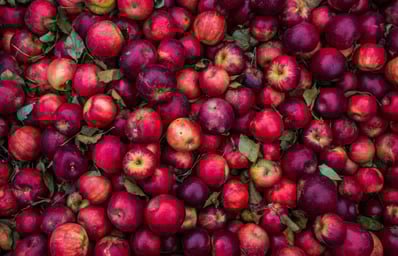 photo 1476837579993 f1d3948f17c2?ixlib=rb 0.3