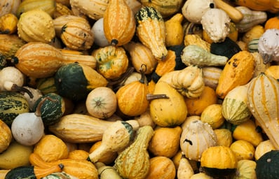 photo 1480454377531 f176efbcf381?ixlib=rb 0.3