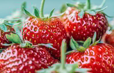 photo 1488551511020 571c741f122a?ixlib=rb 0.3