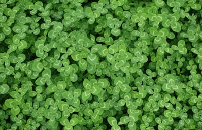 photo 1489981424607 45c58daf0581?ixlib=rb 0.3