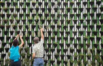 photo 1490187763999 9f273a5b7516?ixlib=rb 0.3