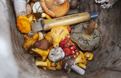 photo 1501169527804 c216a681aab8?ixlib=rb 0.3