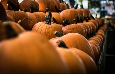 photo 1508900589175 96fb81667349?ixlib=rb 0.3