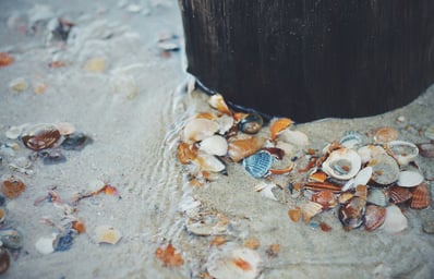 photo 1517138470948 867e5b8ba9b7?ixlib=rb 0.3