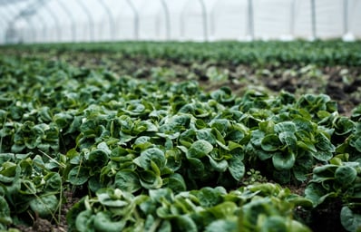 photo 1518994603110 1912b3272afd?blend=000000&blend alpha=10&blend mode=normal&blend w=1&crop=faces%2Cedges&h=630&mark=https%3A%2F%2Fimages.unsplash.com%2Fopengraph%2Flogo.png&mark align=top%2Cleft&mark pad=50&mark w=64&w=1200&auto=format&fit=crop&q=60&ixid=M3wxMjA3fDB8MXxhbGx8fHx8fHx8fHwxNzAyMDk3NTQwfA&ixlib=rb 4.0