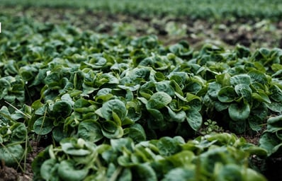 How To Eat More Sustainably With 3 Easy Tips 2 photo 1518994603110 1912b3272afd?blend=000000&blend alpha=10&blend mode=normal&blend w=1&crop=faces%2Cedges&h=630&mark=https%3A%2F%2Fimages.unsplash.com%2Fopengraph%2Flogo.png&mark align=top%2Cleft&mark pad=50&mark w=64&w=1200&auto=format&fit=crop&q=60&ixid=M3wxMjA3fDB8MXxhbGx8fHx8fHx8fHwxNzAyMDk3NTQwfA&ixlib=rb 4.0