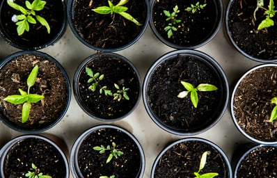 photo 1523348837708 15d4a09cfac2?ixlib=rb 1.2