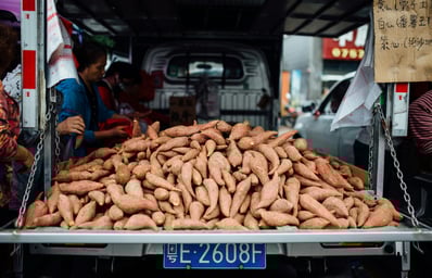 photo 1544889980 d15efad9ec23?ixlib=rb 1.2